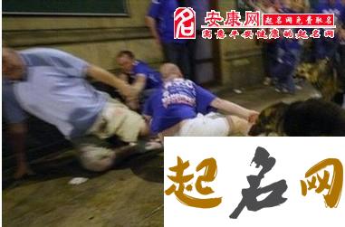 421.梦见狗咬别人 女人梦见狗咬别人