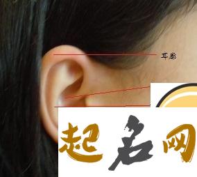 女生耳朵大代表什么_女人耳朵大好吗？ 女人耳朵后面有痣图解