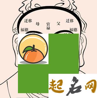 天生有老板相的人长什么样，运势如何 老板要有老板的样子