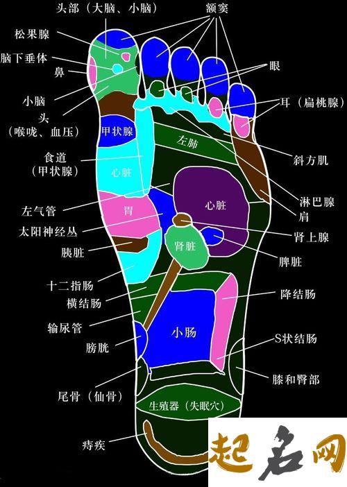 看相算命：详解脚底穴位图 脚底按摩