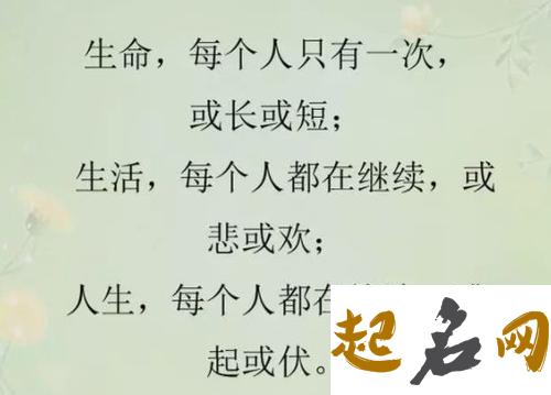 今生你以什么角色存余社会？（图文） 只有今生