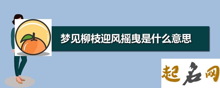 梦见柳枝迎风摇曳 柳枝迎风飘动怎么改成拟人句