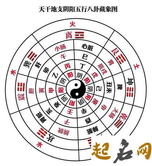 十天干体象决 八字天干象义