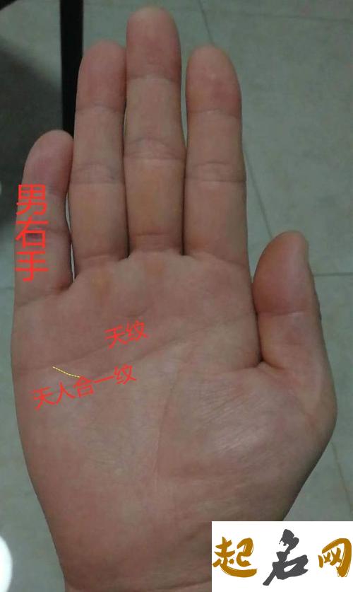 感情线下的职业线是什么？ 智慧线分叉连着感情线