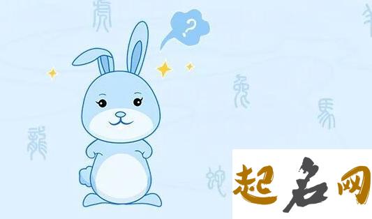 2016年生肖兔男生的长处和短处是什么？ 长处和短处是什么意思