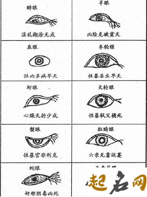 面相眼睛图解大全 百度识别眼型