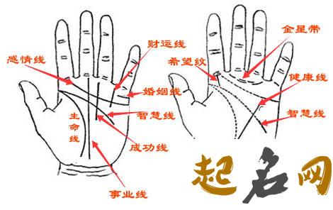 各种手相分析大全 手相图解