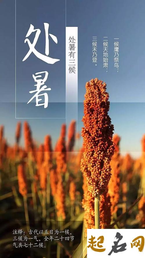 2019年处暑提新车好不好,处暑三候是什么意思？ 秋分三候是什么