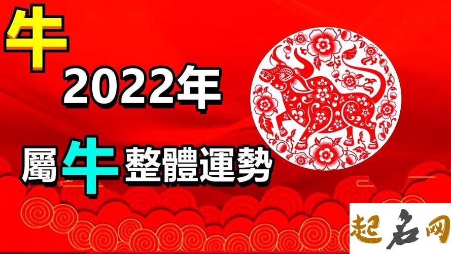 属牛的2019年7月运势查询 属兔2019年12月运势