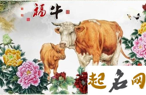 属牛的今年多大 73年属牛人2021年运势