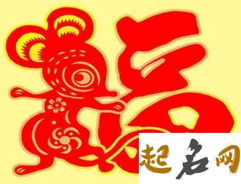 属鼠的2019年健康运势如何 72年属鼠2020年的运程