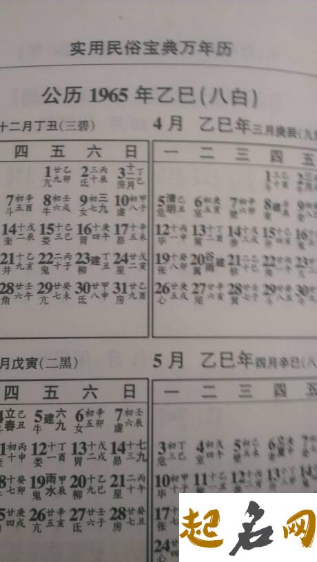 1942年壬午属马杨柳木命，男女命运特点 属马女几点出生命最好