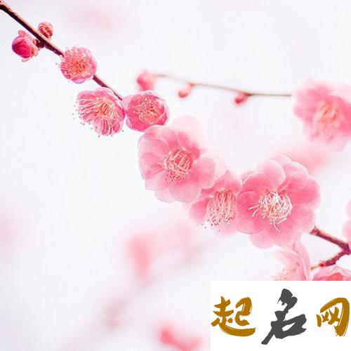 测你在2014年的独有桃花饰品（图文） 测测今年的桃花运