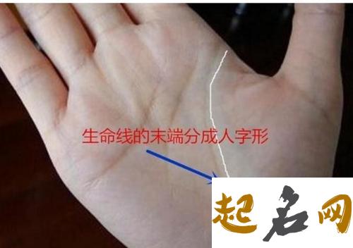 在生命线起端有分叉代表了什么？ 女人生命线末端分叉