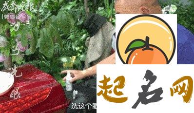 8个斗是什么命，中年时期发光发亮，让人刮目相看 眼睛怎么发亮