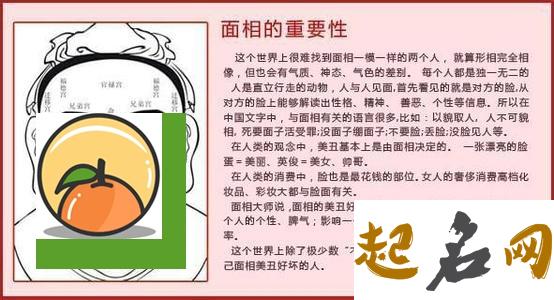 面相解析：虎鼻子的面相好不好 虎面相女人