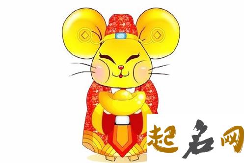 属鼠人几岁财运会变好 属鸡的今年财运好吗