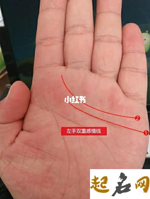 容易离婚的女人手相分析 男人离婚手相图解大全