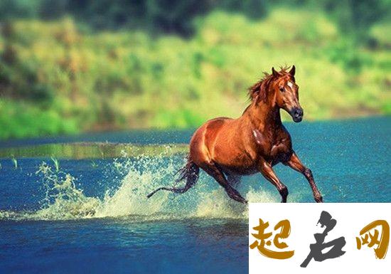 梦见马好吗是什么意思【好不好】 什么时辰的马好