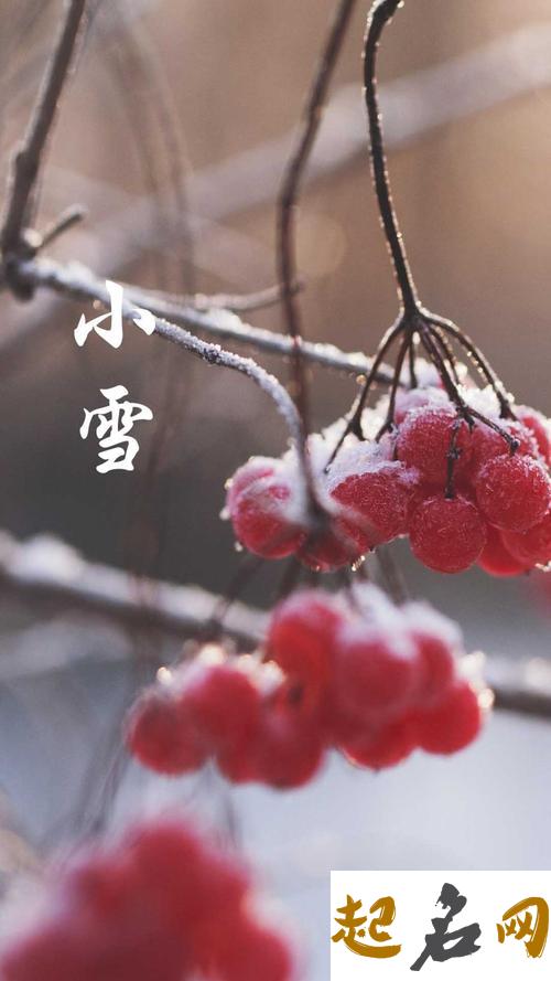 2019年小雪后一天祈福吉利吗,小雪节气的气候特征解析 2019年小雪节气是哪天