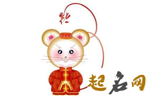 2020鼠年2月生肖属鼠和生肖属牛可以结婚吗，合不合 属鼠和属虎的合不合