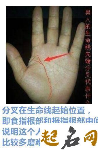 手相生命线有什么意义？ 手相生命线分叉