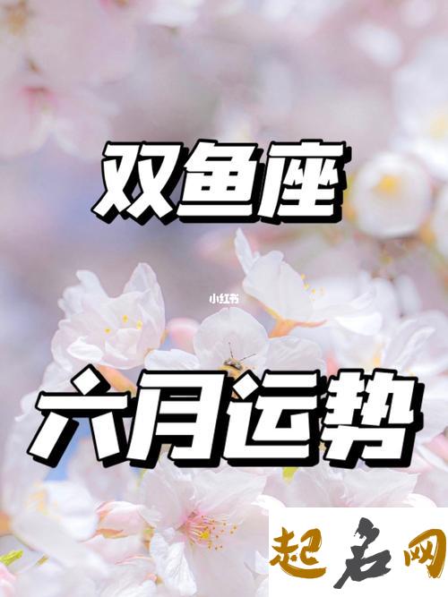 双鱼座2019年运势详解 双鱼座女今年运势