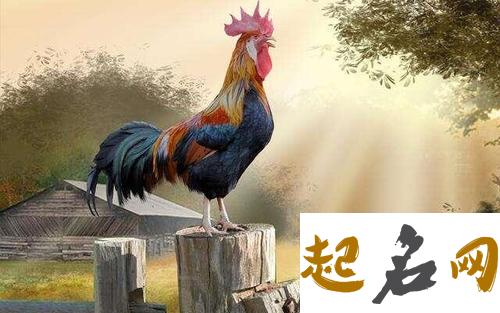 属猴人2017年每月运势详解 81年属鸡2020年运势及运程