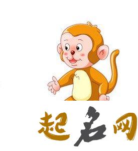 生肖猴小百科，生肖猴知识大全 实用生活百科知识大全