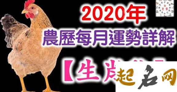 农历十一月出生的属鸡人运势分析 属羊人2020年每月运势