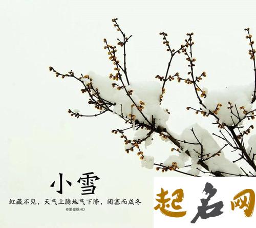 2019年十月廿六小雪节气时辰吉凶一览表 小雪节气哪天