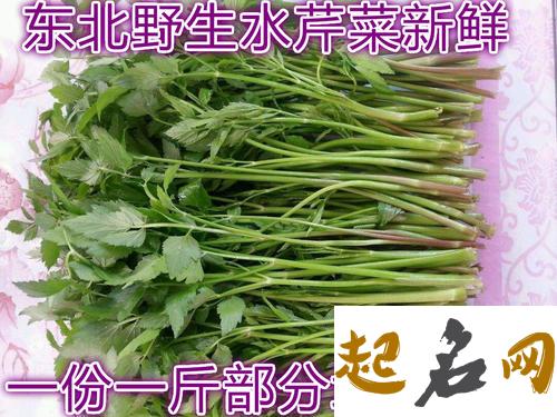 梦见水芹菜 梦见在水里洗芹菜