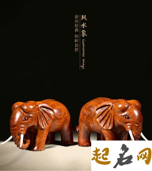 适合杨柳木命的风水摆件是什么 招财的风水摆件 客厅摆什么招财