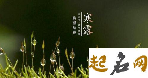 蛇年寒露节气出生的人是不是富贵命？ 春分节气