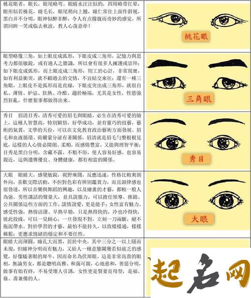 贼眉鼠眼是什么样 贼眉鼠眼面相解析 面相贼眉鼠眼