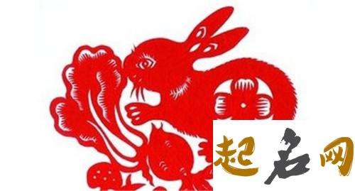 属鸡今年健康运如何 属兔今年健康运势