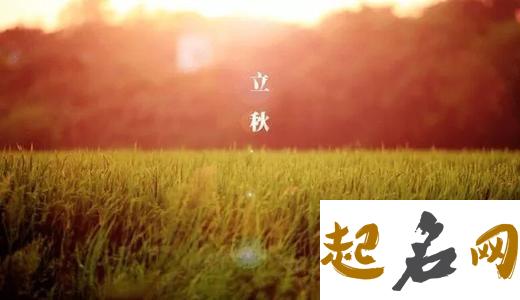 立秋结婚好吗 2016立秋结婚好不好（图文） 立秋的老鼠命怎么样