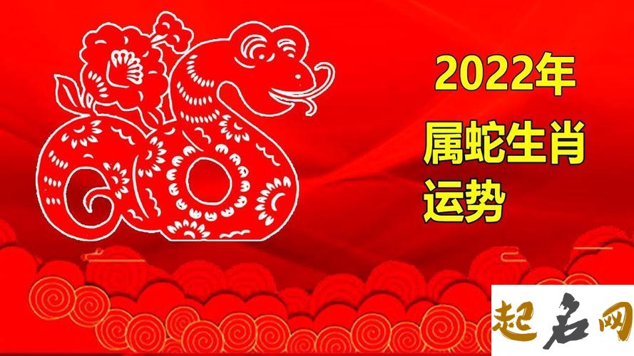 属蛇的2019年5月运势查询 2019年12生肖属蛇12月运势