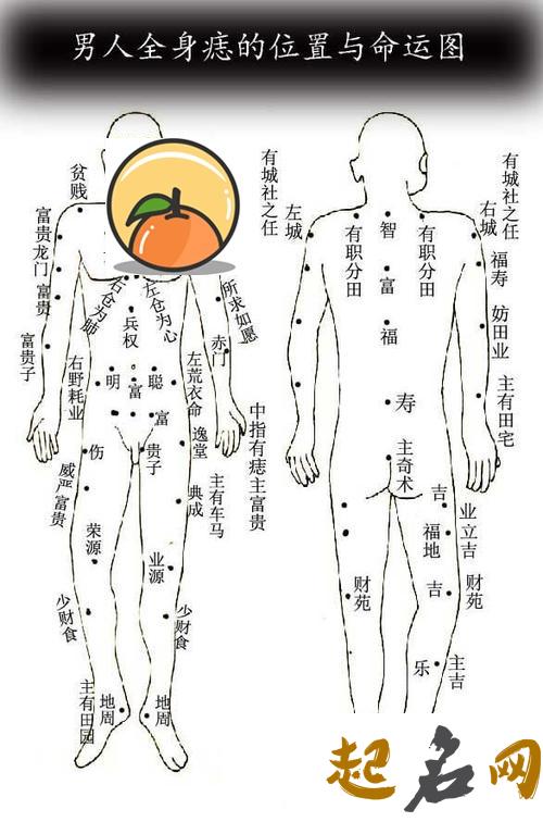 男人喉结有痣是什么意思 男人背上有痣图解