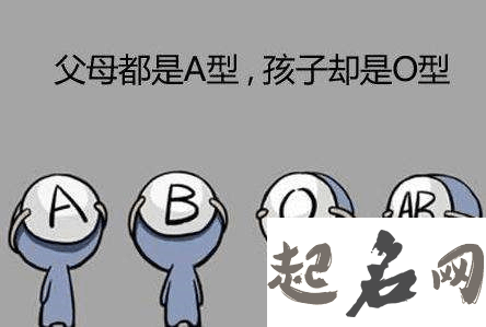 血型分析：b型血为什么叫贵族血的三大原因 b型血为什么是熊猫血