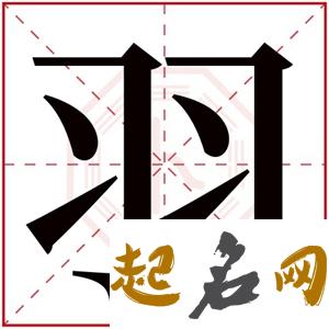 带羽字的女孩名字唯美 羽字取名女孩 女宝宝取名大全