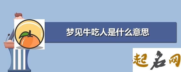 梦见狂野 梦见牛