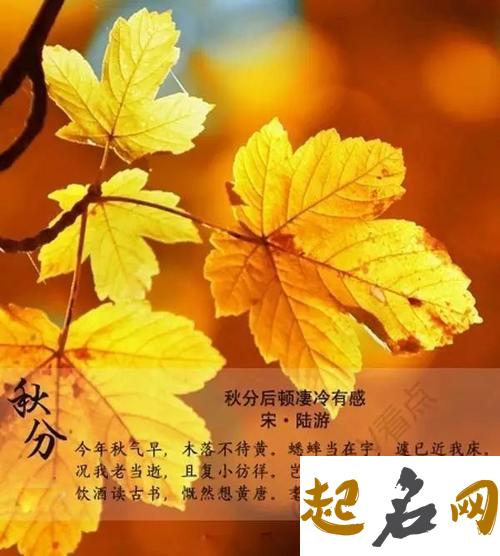 诗句大全 关于秋分的诗句大全（图文） 关于秋分古诗