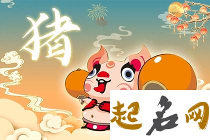 2019猪年农历正月初四出生缺火的猪宝宝五行起什么的推荐名字 大寒出生的猪宝宝好吗