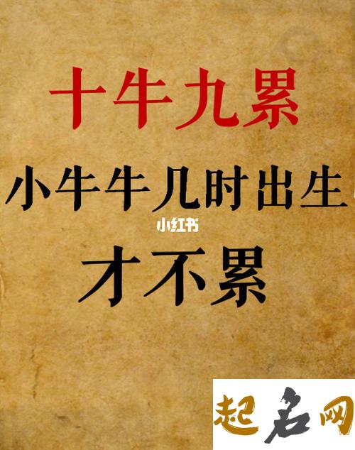 牛年永字辈女宝宝起名,永字起名的含义是什么 字辈取名