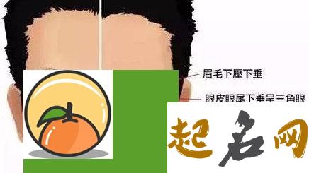 男人三角眼面相心不好，从哪方面能体现 怎么判断三角眼