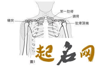 如何从肩膀看财运？ 左肩膀酸痛