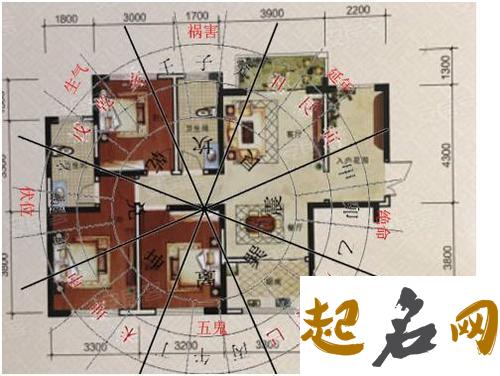 岁望阙门与气冲第宅 进宅生肖冲到怎么办