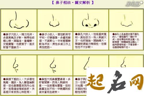 面相学看鼻子算命 面相学图解算命大全人