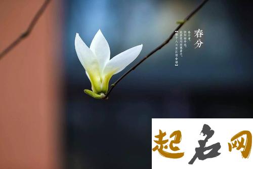 大暑节气钓鱼技巧（图文） 春分节气